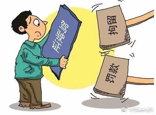 孿生兄弟難辨真?zhèn)?無證駕駛終露馬腳——從“成武高速”事件看冒用駕駛證的法律風險